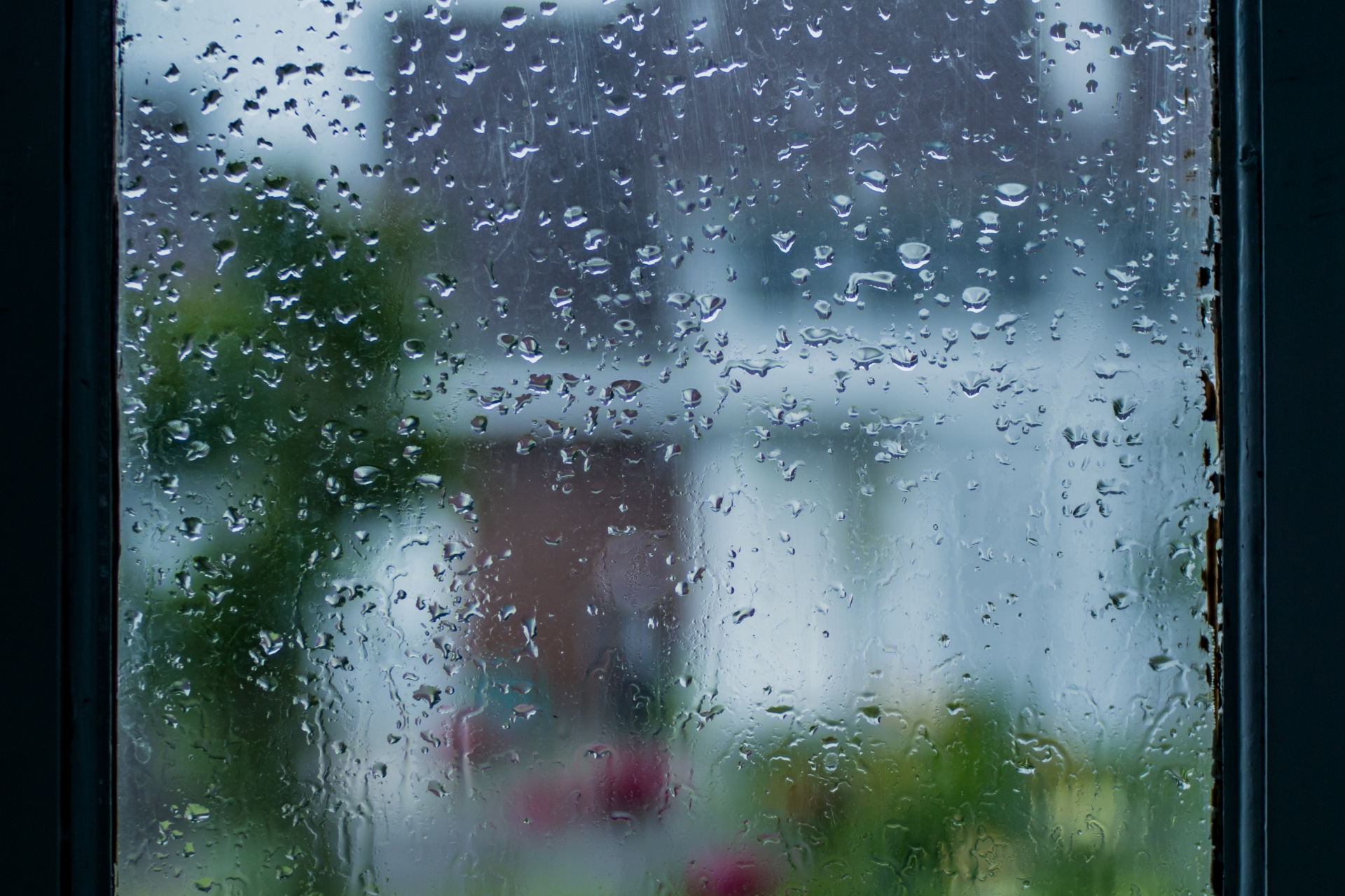 梅雨時期にアレルギー悪化？カビと湿気の意外な関係
