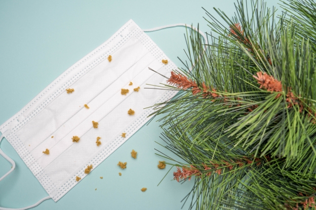 【花粉シーズン直前】「持ち込まない」のその先へ